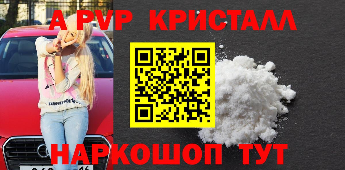 A PVP СК КРИС Магадан