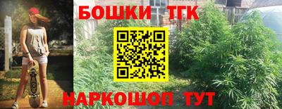 крисы Ипатово