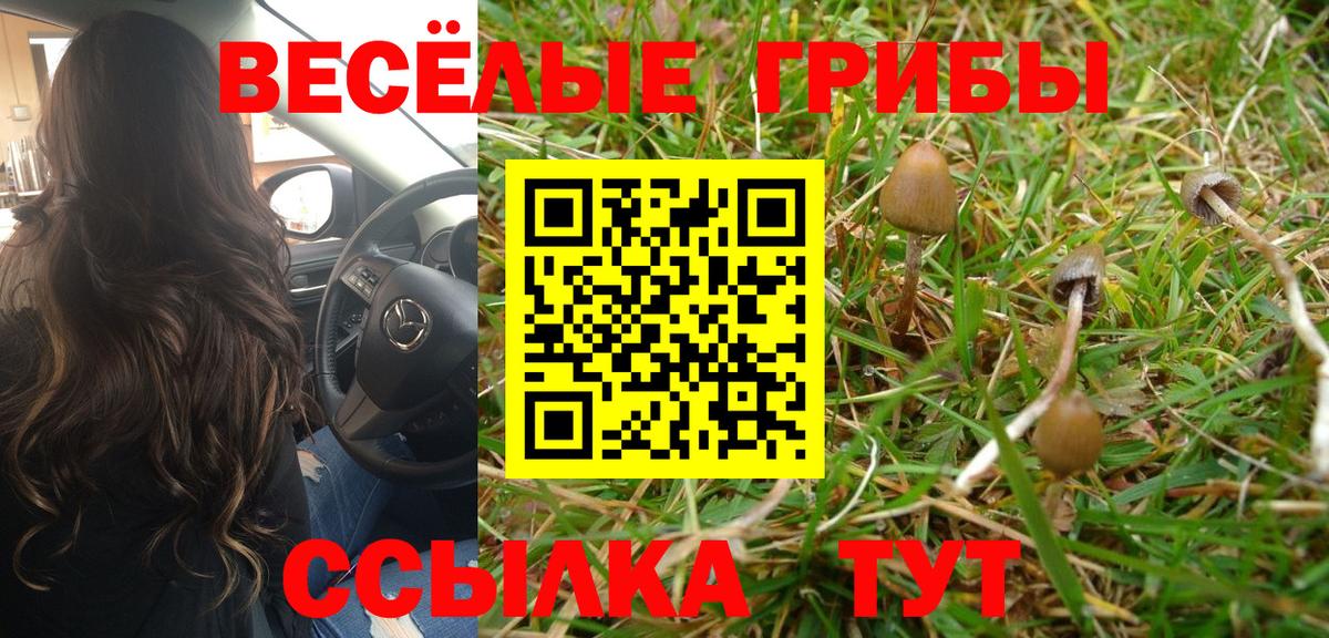 Магадан  Псилоцибиновые грибы Psilocybe  Псилоцибиновые грибы мухоморы  Вход с VPN 