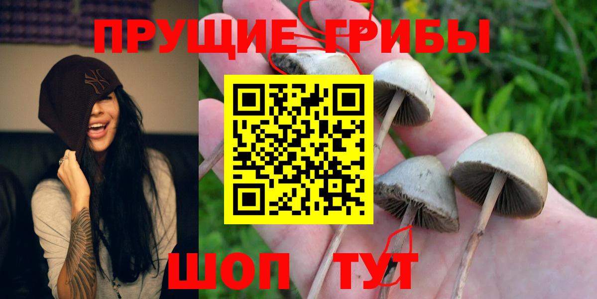Псилоцибиновые грибы мицелий Магадан
